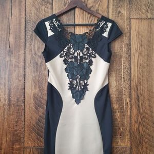 NWT Jade & Juilet lace detail tan/black dress  large